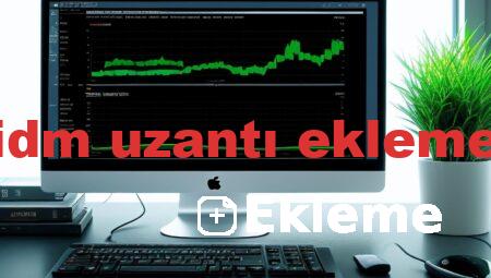 idm uzantı ekleme