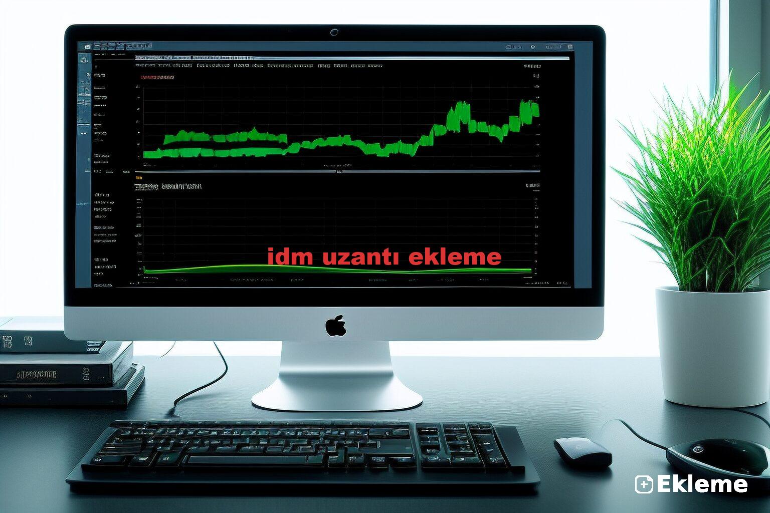 idm uzantı ekleme