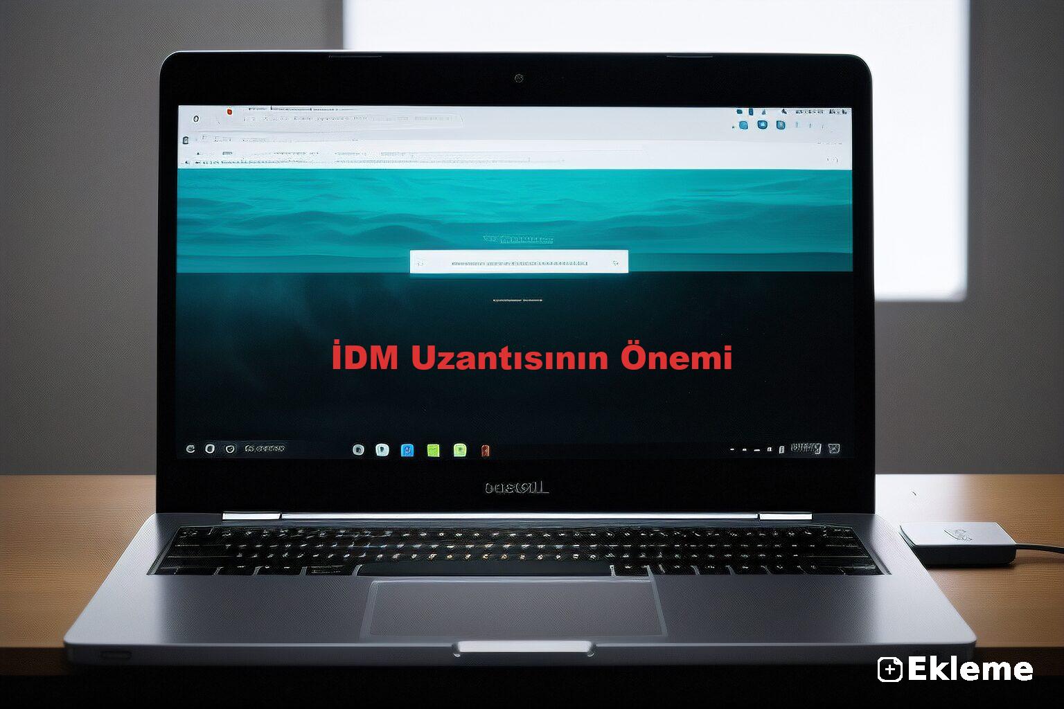 İDM Uzantısının Önemi