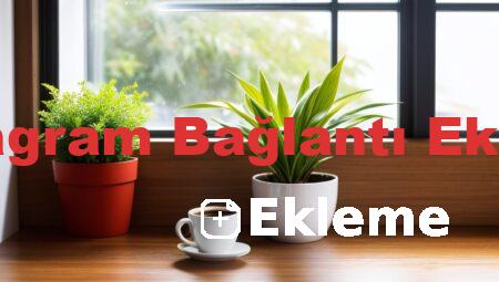 Instagram Bağlantı Ekleme