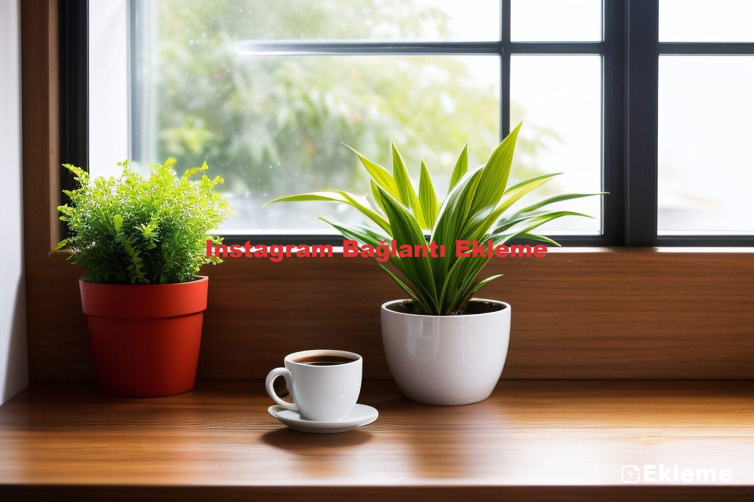 Instagram Bağlantı Ekleme