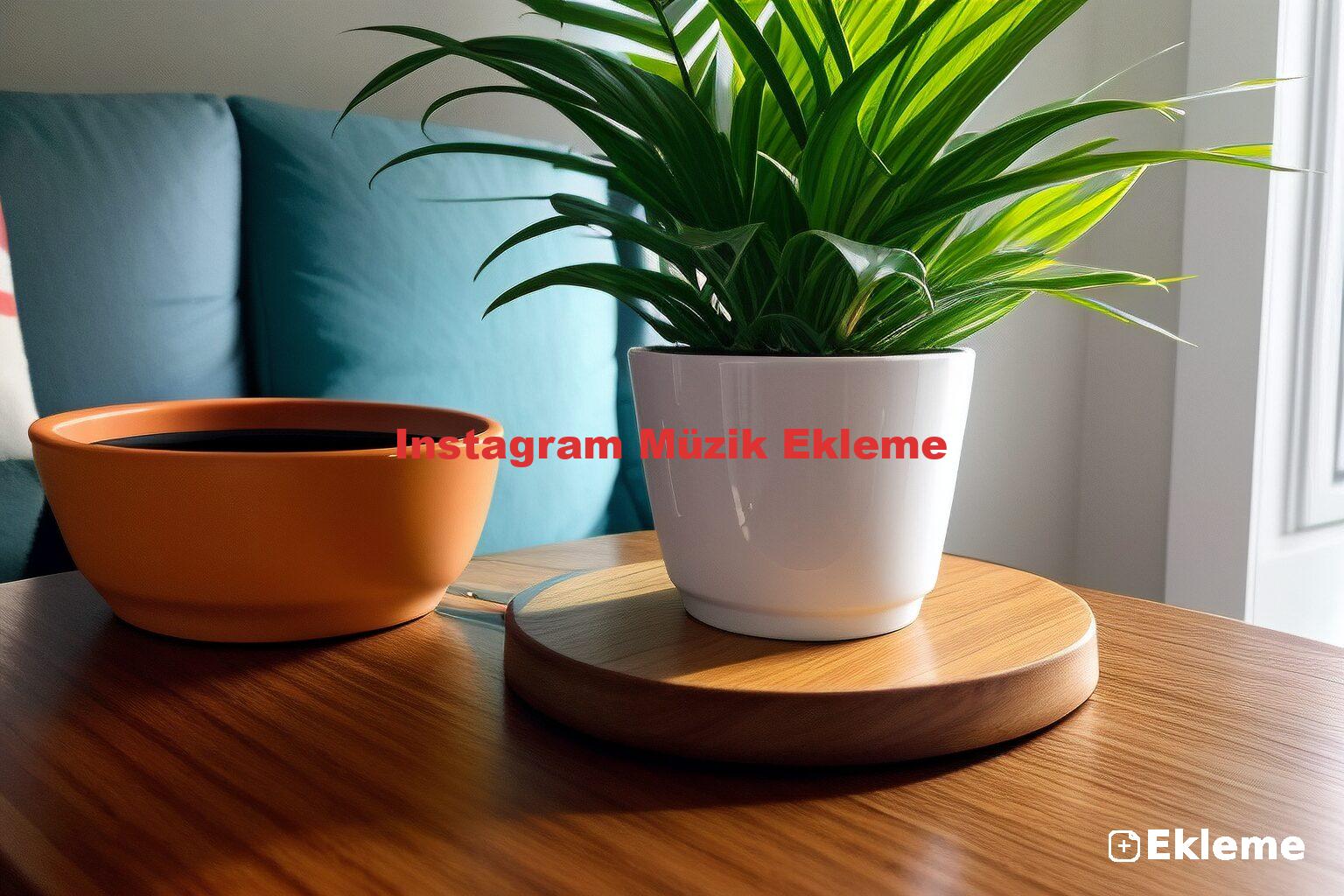 Instagram Müzik Ekleme