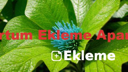 Hortum Ekleme Aparatı