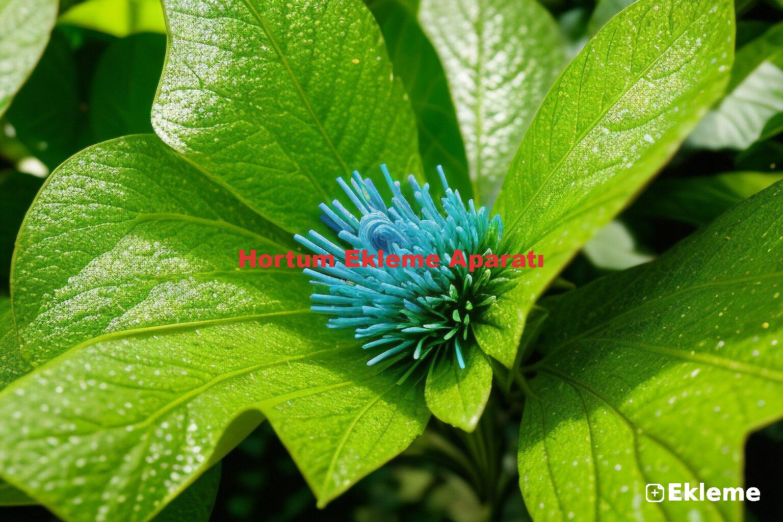 Hortum Ekleme Aparatı