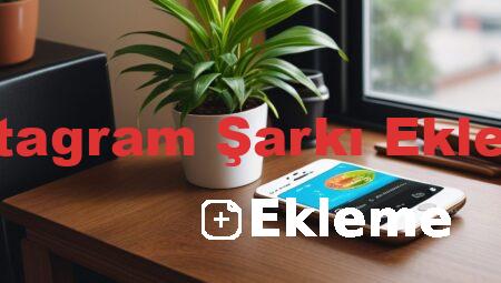 Instagram Şarkı Ekleme