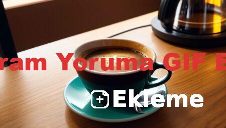 Instagram Yoruma GIF Ekleme