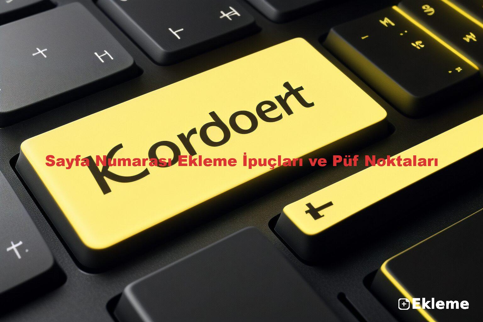 Sayfa Numarası Ekleme İpuçları ve Püf Noktaları