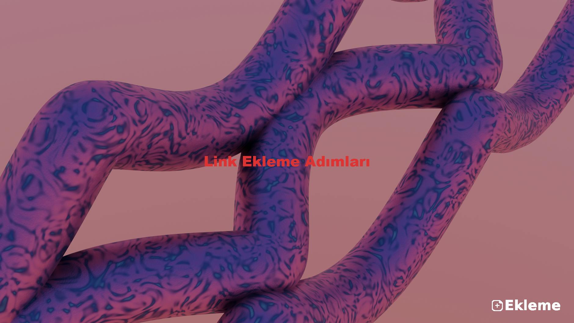 Link Ekleme Adımları