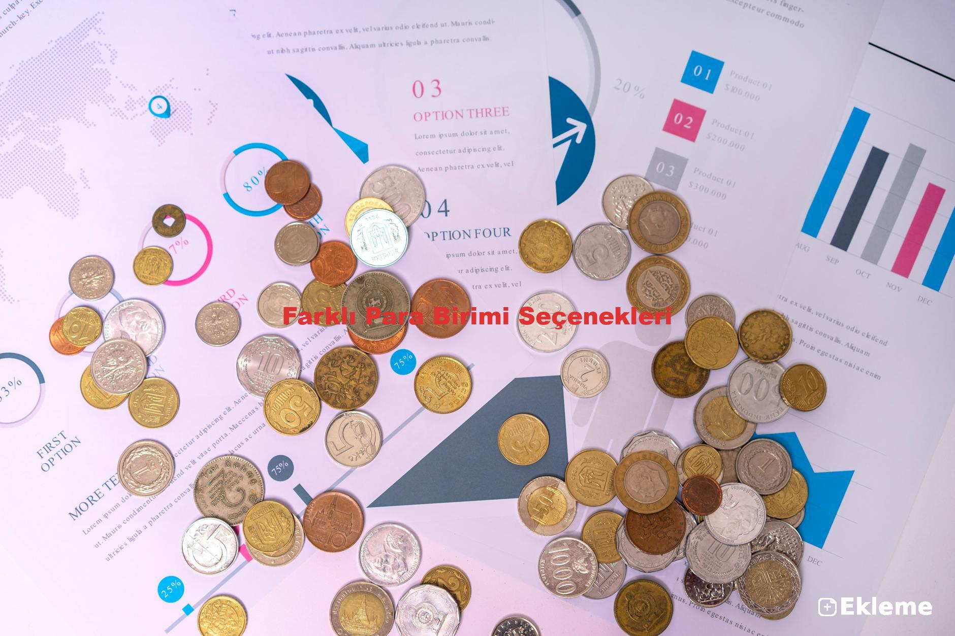 Farklı Para Birimi Seçenekleri