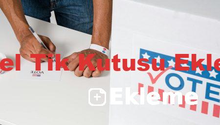 Excel Tik Kutusu Ekleme