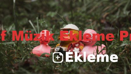Fotoğraf Müzik Ekleme Programı