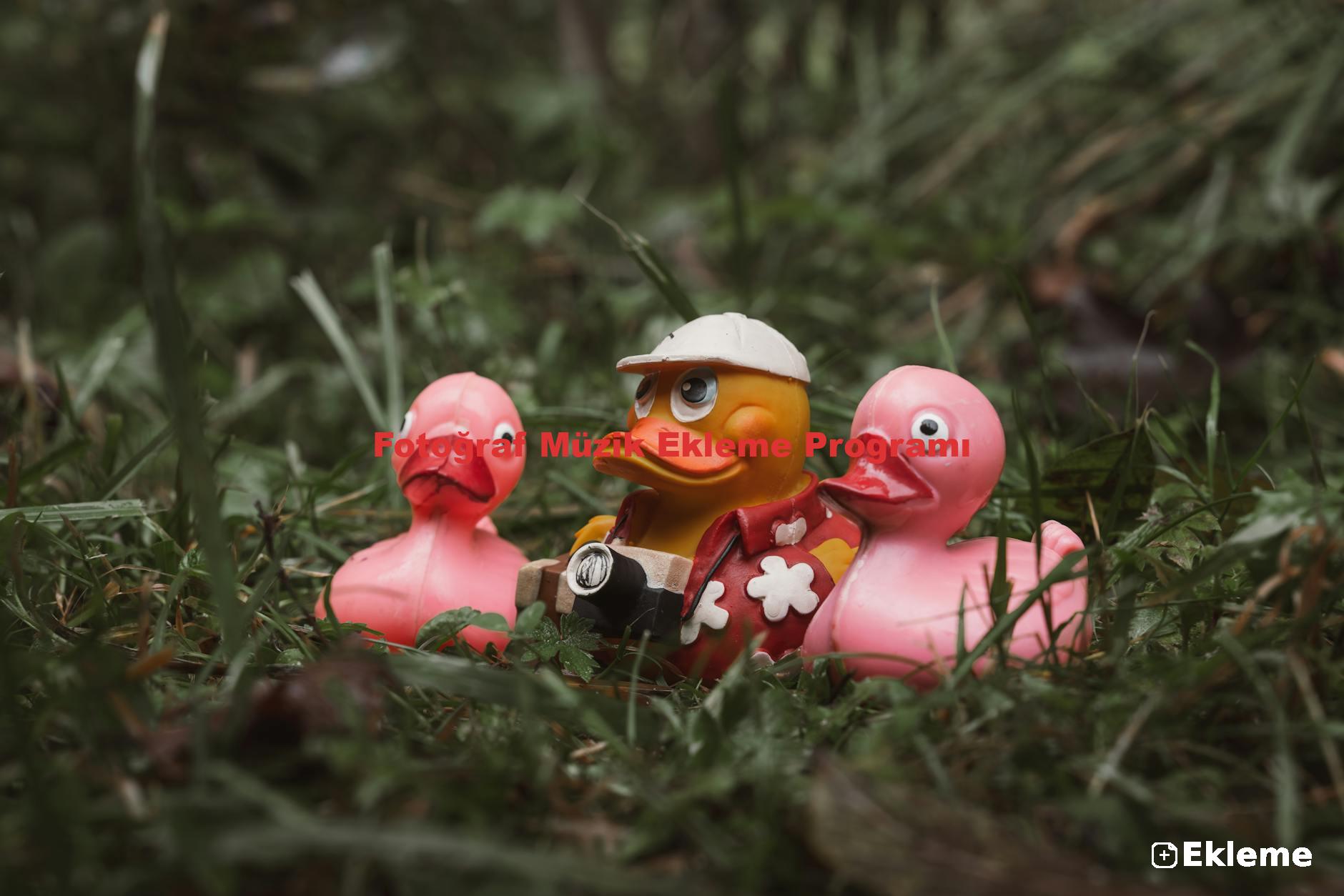 Fotoğraf Müzik Ekleme Programı