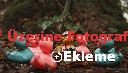 Fotoğraf Üzerine Fotoğraf Ekleme