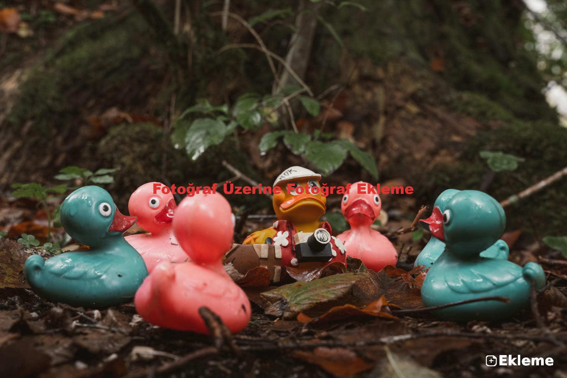 Fotoğraf Üzerine Fotoğraf Ekleme