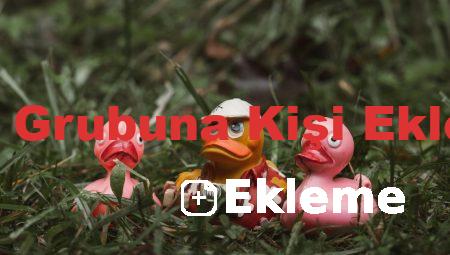 Hac Grubuna Kişi Ekleme
