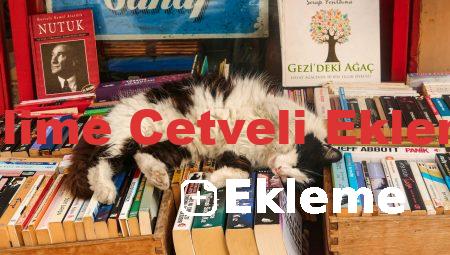 Kelime Cetveli Ekleme