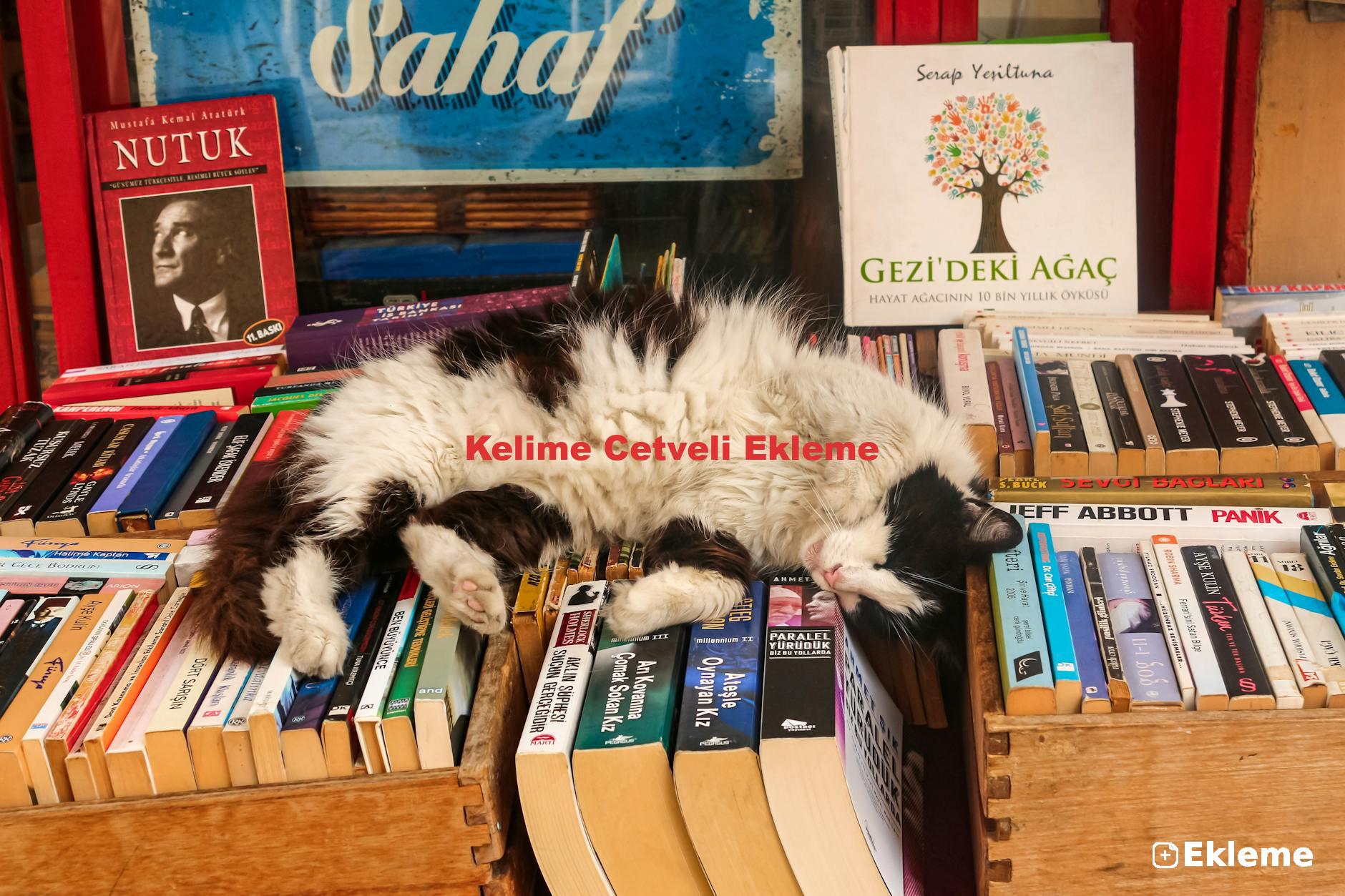 Kelime Cetveli Ekleme