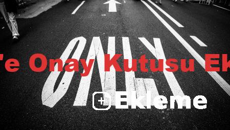 Word’e Onay Kutusu Ekleme