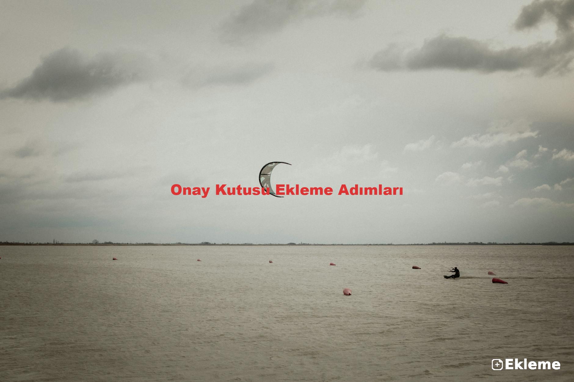 Onay Kutusu Ekleme Adımları