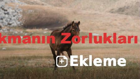 Sigarayı Bırakmanın Zorlukları ve Çözümleri