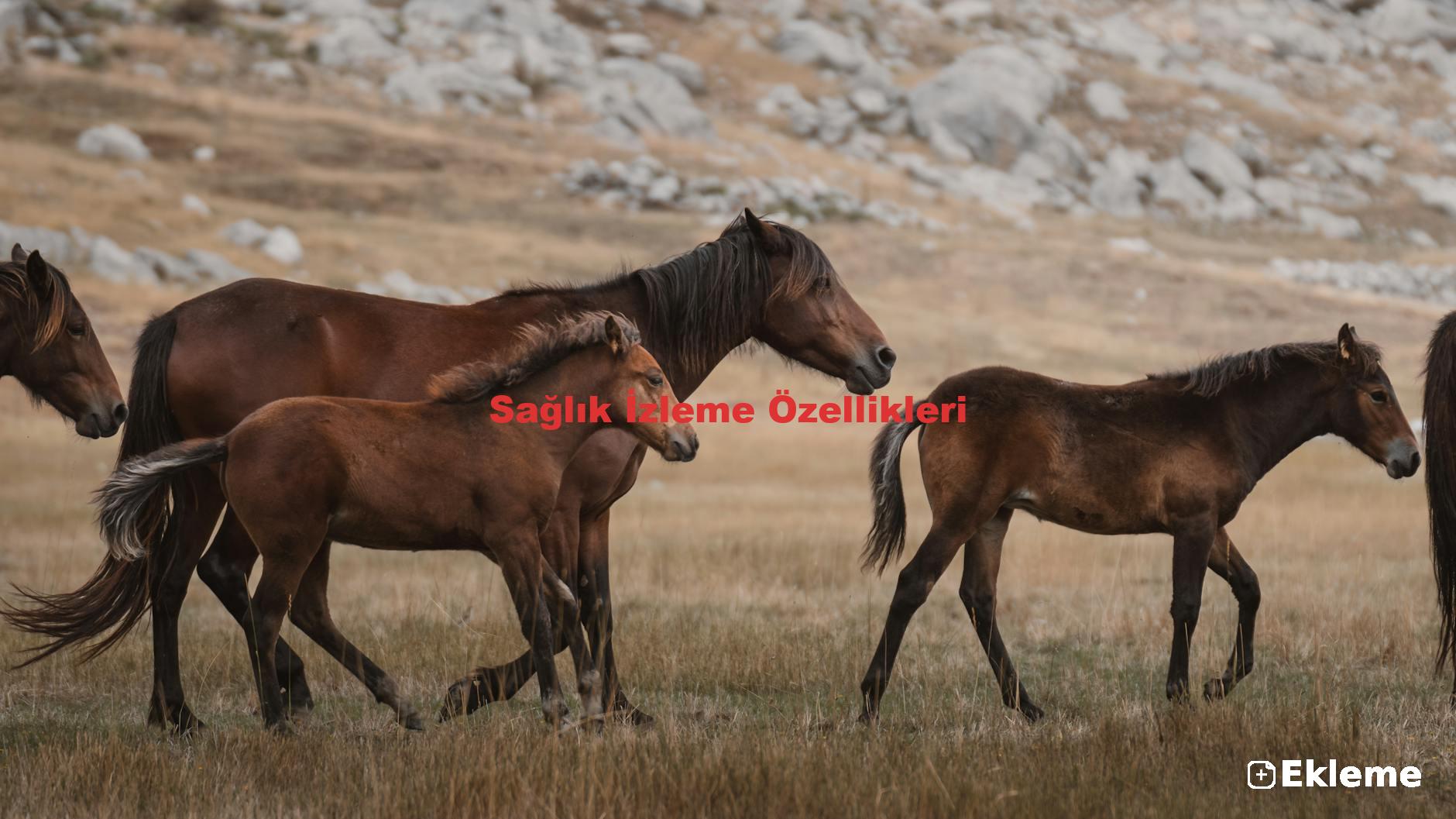 Sağlık İzleme Özellikleri