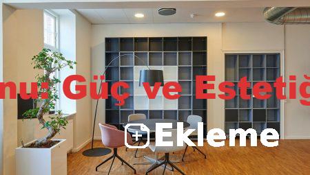 HP İş İstasyonu: Güç ve Estetiğin Buluşması