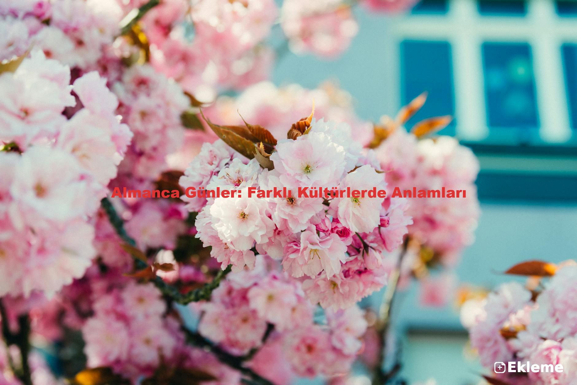 Almanca Günler: Farklı Kültürlerde Anlamları
