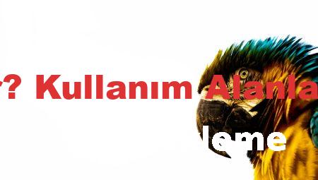 Ara Atkı Nedir? Kullanım Alanları ve Faydaları