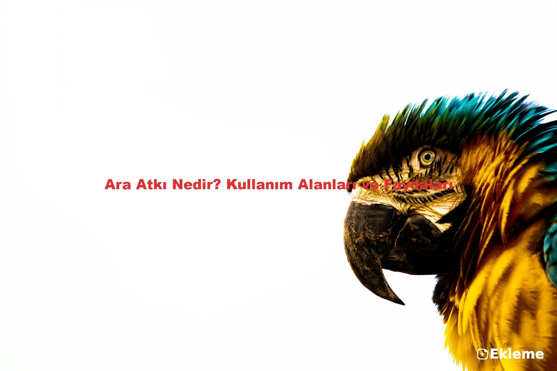 Ara Atkı Nedir? Kullanım Alanları ve Faydaları