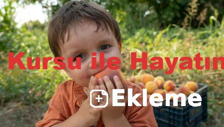 Bursa’da Ehliyet Kursu ile Hayatınızı Kolaylaştırın!