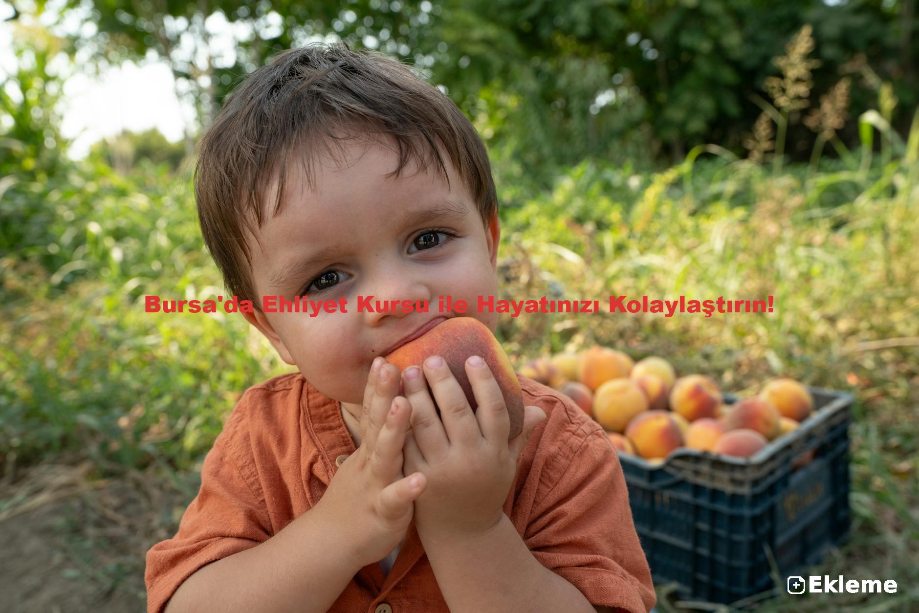 Bursa'da Ehliyet Kursu ile Hayatınızı Kolaylaştırın!