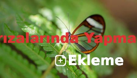 Oto Elektrik Arızalarında Yapmanız Gerekenler