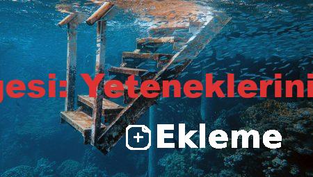 Seviye 5 Belgesi: Yeteneklerinizi Tescilleyin