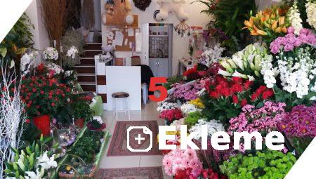 Floksia.com ile Çiçek Göndermek İçin 5 Neden