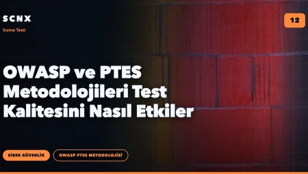 OWASP ve PTES Metodolojileri Test Kalitesini Nasıl Etkiler